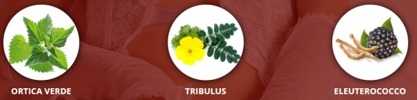 ingredienti ortica verde tribulus eleuterococco