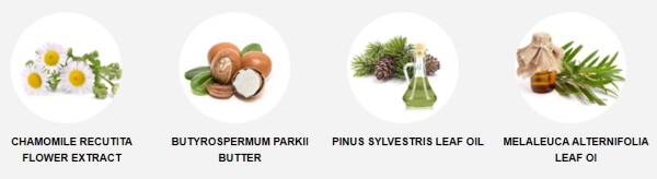 ingredienti e composizione - camomile butyrospermium pinus sylvestris