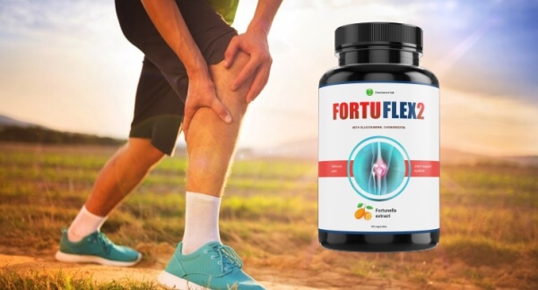 Fortu Flex 2– Ingredienti